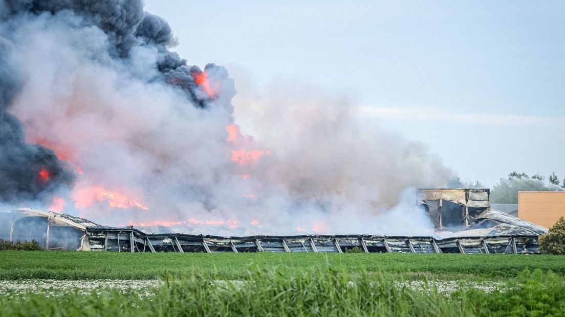 De brand in Kiel-Windeweer verwoestte twee kippenschuren.