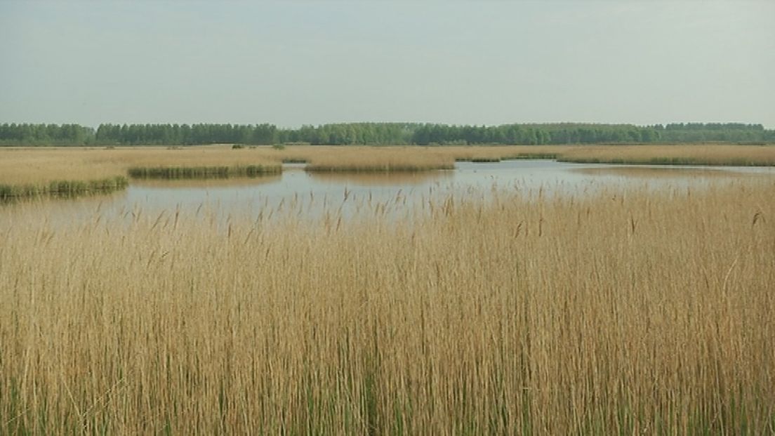 Een deel van het Lauwersmeer