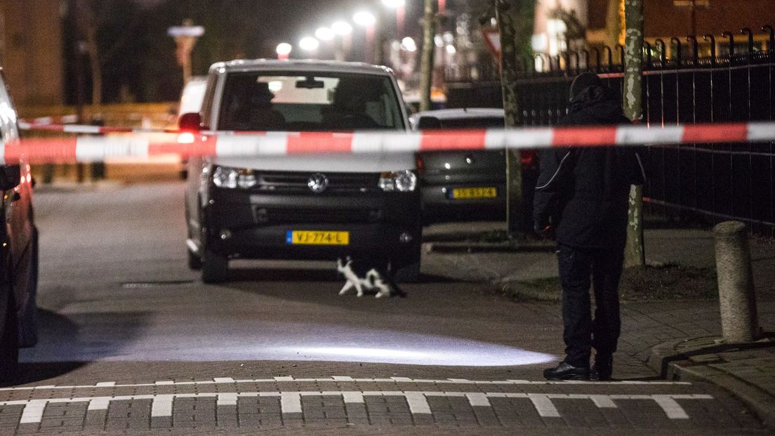 Een kat negeert de politie-afzetting in Vreeswijk.
