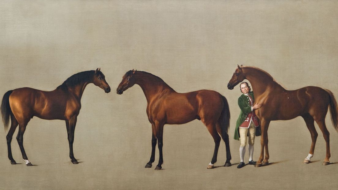 Whistlejacket en twee andere paarden door George Stubbs | Foto via Mauritshuis