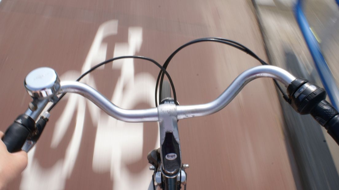 Het stadsbestuur van Groningen wil een fietspad tussen Groningen en Sauwerd