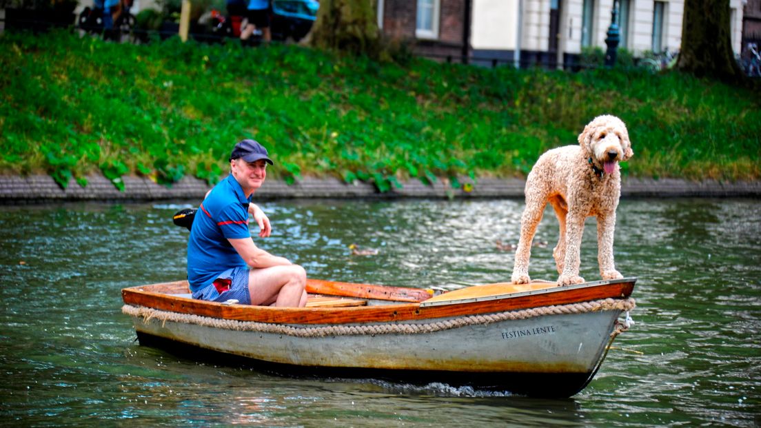 En niet alleen de mens geniet van water en boot. Deze hond heeft waarschijnlijk ook goed gekeken naar de film Titanic. Een partner met gespreide armen, ehhh, poten, ontbreekt in het plaatje.