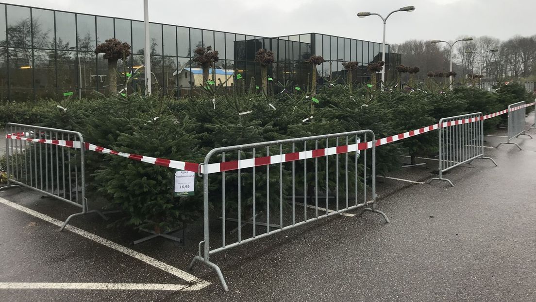 Kerstbomen op de parkeerplaats