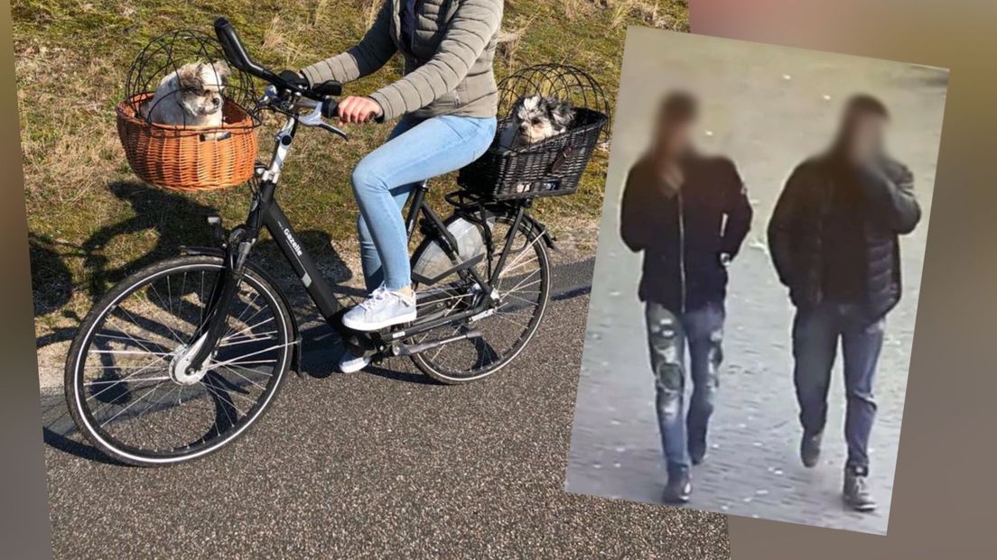 Eén van de gestolen fietsen en een foto van mogelijke verdachten die rondgaat op social media