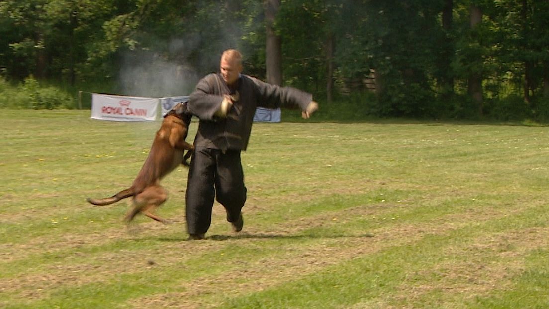 'Werken met politiehonden is een prachtige sport' (video)