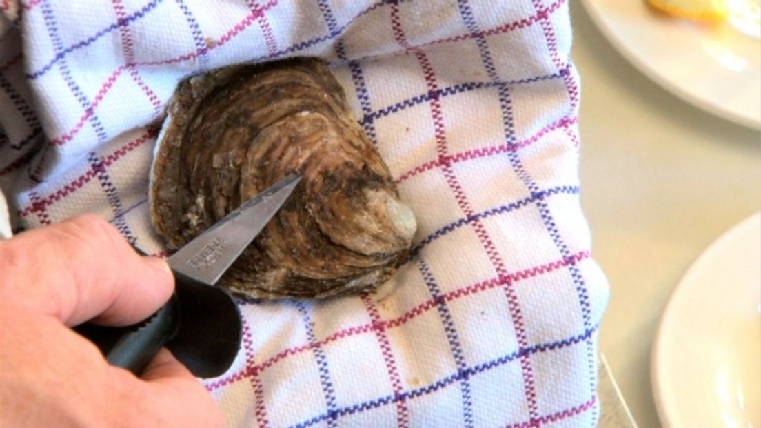 Na duizenden oesters heeft kok toevallig prijs