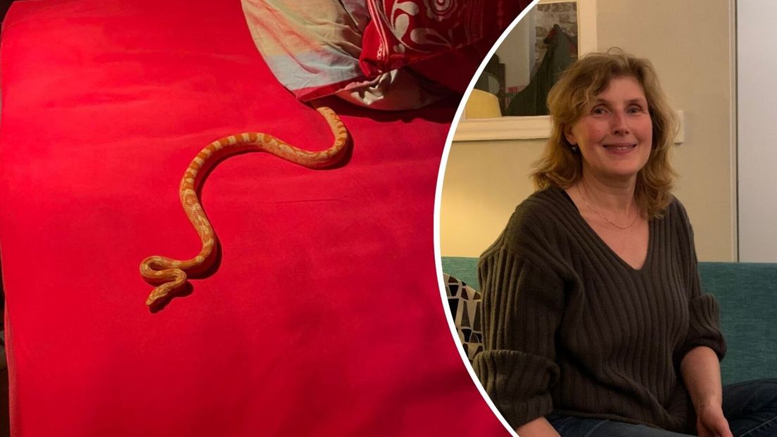 Maria Sturm uit Middelburg vond een slang in haar bed.