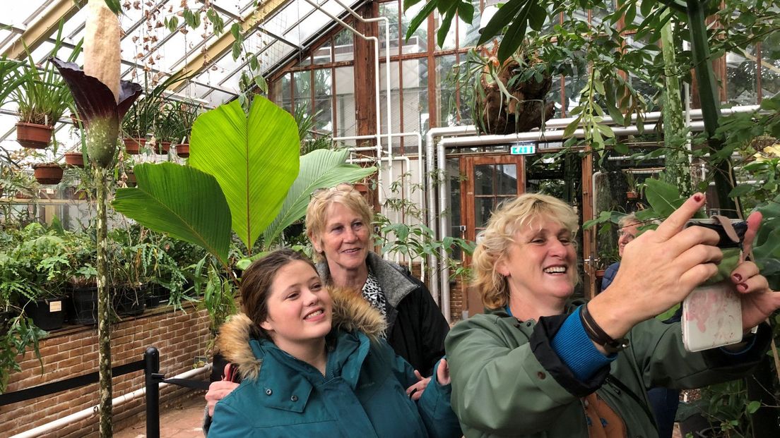Bezoekers maken een selfie met de plant