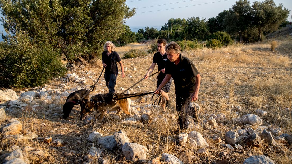 De zoekhonden van Signi zijn onder meer ingezet bij de vermissing van Joey Hoffmann in Turkije.