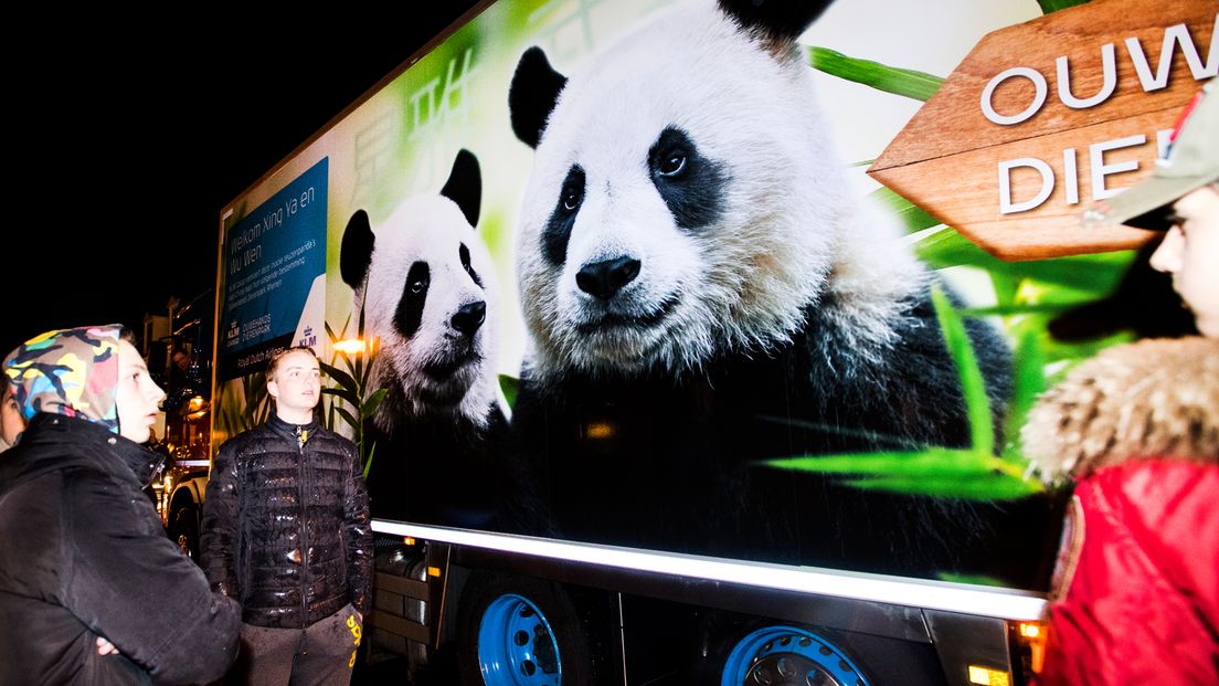 De Pandavrachtwagen levert Wu Wen & Xing Ya af.