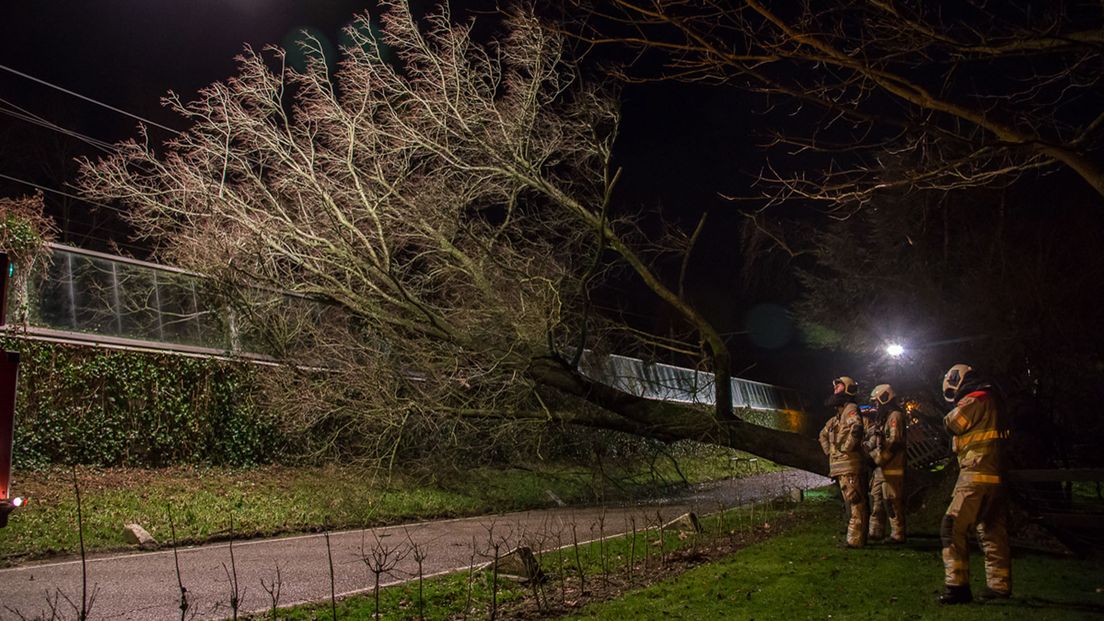 In Loenersloot belandde een boom op de bovenleiding van het spoor.