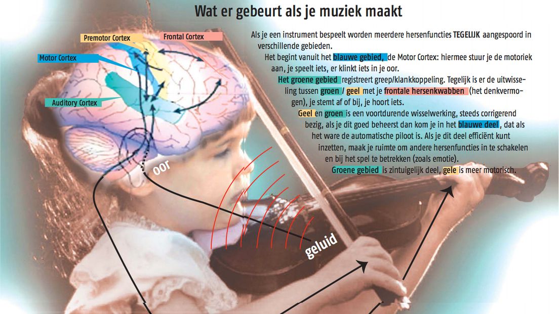 o.b.s De Casembroot maakt gebruik van 'Muziek maakt slim'