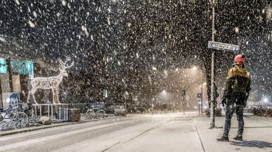Zo zag Gelderland er uit na de eerste sneeuw
