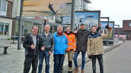 Zeehondjes en kitesurfers: nieuwe fotobanners sieren het centrum van Breskens