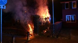 Coniferenhaag vat vlam in stadswijk Lewenborg