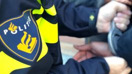Politie lost waarschuwingsschoten bij aanhouding in Den Haag