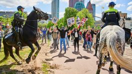 Haagse Partij voor de Dieren: stop met inzetten politiepaarden en politiehonden bij demonstraties