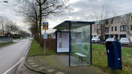Bereikbaarheid Schiedam-Noord na komst ringlijnbus nog niet ideaal