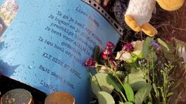 Gedenkplek in Hazerswoude voor vermoorde Esmee: 'Ik hou heel veel van je'