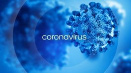 Corona in Zeeland: 1237 nieuwe besmettingen
