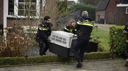 Woningbrand door pelletkachel in Winschoten, twee honden uit huis gered (update)