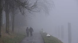 KNMI waarschuwt voor dichte mist in Zeeland