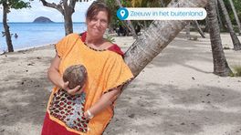 De Zeeuwse Ellen geniet van Martinique: 'Het is hier nu het hoogseizoen'