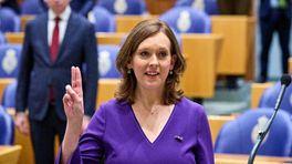 Stieneke van der Graaf keert terug in Kamer en parlementaire enquêtecommissie