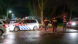 Vrouw bij politieactie in Baarns woonwagenkamp gewelddadig door het lint, OM eist taakstraf