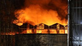 Oorzaak brand kassencomplex Monster onbekend, wel weer 'business as usual'