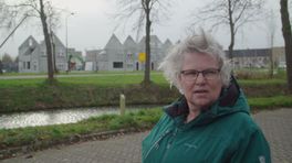 'Bomen in Waddinxveen verdwijnen omdat ze niet in de plannen passen'