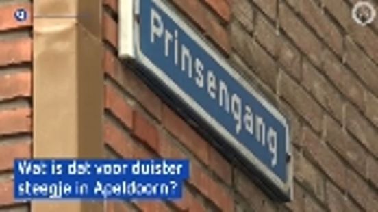 Hoe komt dat duistere steegje in Apeldoorn aan zo'n koninklijke naam?