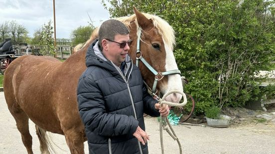 Donnie gered: 7.500 euro ingezameld voor paard dat moest vertrekken van zorgboerderij