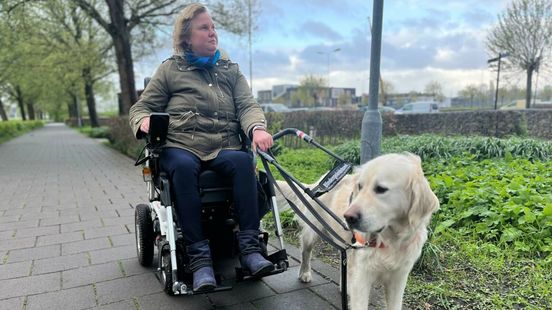 Geleidehond Pelle leidt Saskia door weer en wind en het drukke verkeer naar haar werk