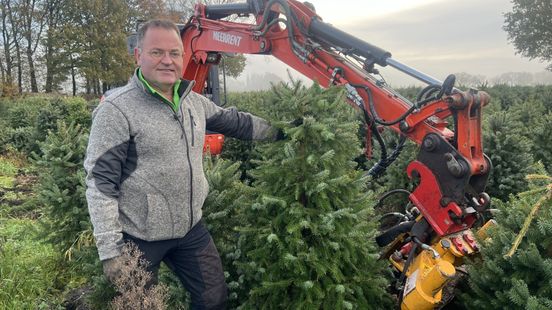 Gerrit's vernielde kerstbomen worden ‘gewoon’ verkocht