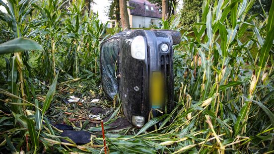 Auto schiet maisveld in • dode man aangetroffen