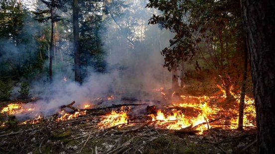 Natuurbranden zijn een blinde vlek: 'Het is wachten op een catastrofe'