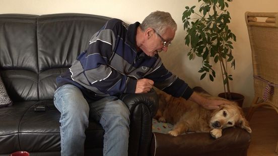 Hond Beau houdt Jan (73) uit isolement: ‘Zonder haar was ik verhuisd’