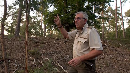 Foto: Bekende boswachter Henk (64) overleden